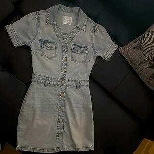 Celebrity Pink Denim Dress